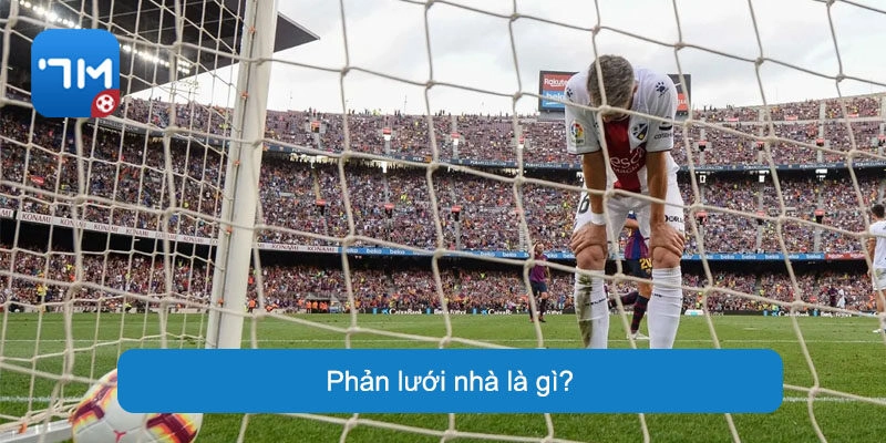 Khái niệm về tình huống "Phản lưới nhà"